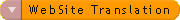 More info on our professional web site translation service