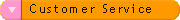 Visit our customer service to obtain free estimate to translate your web site plus other services